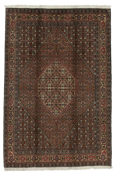 Bijar Persian Rug 248x169