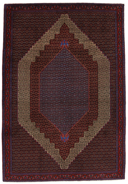 Senneh - Kurdi Persian Rug 289x200