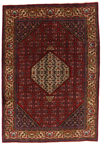 Senneh - Kurdi Persian Rug 290x201