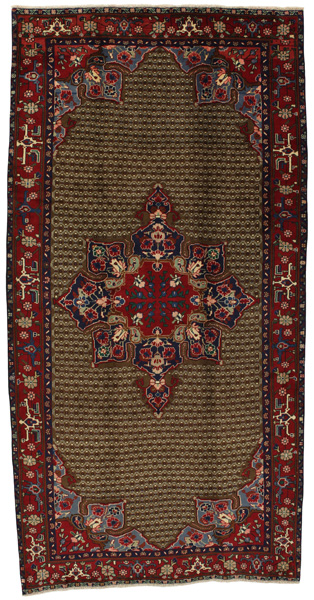 Songhor - Koliai Persian Rug 313x155