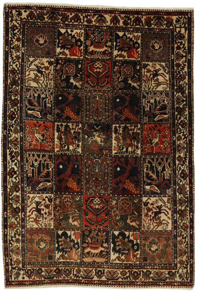 Bakhtiari Persian Rug 229x156