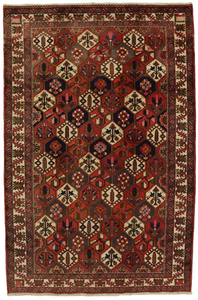 Bakhtiari Persian Rug 307x201