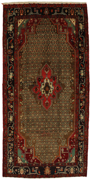 Songhor - Koliai Persian Rug 342x167
