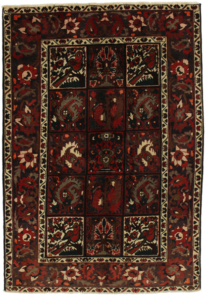 Bakhtiari Persian Rug 222x152