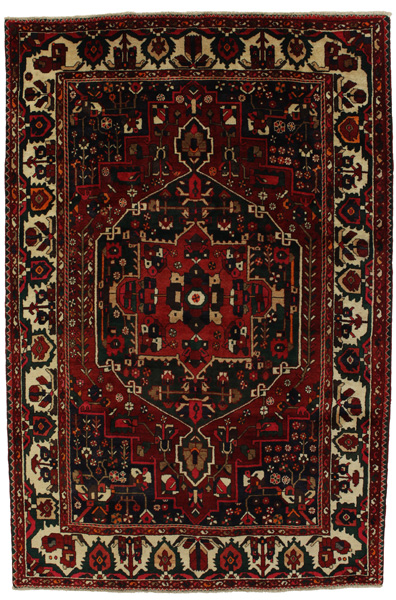 Bakhtiari Persian Rug 310x206