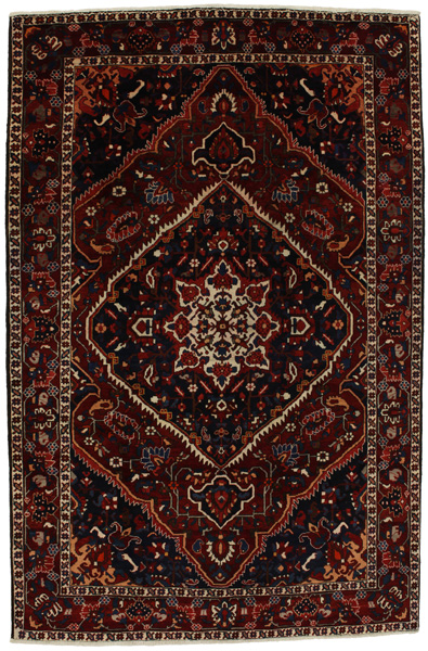 Bakhtiari Persian Rug 320x212