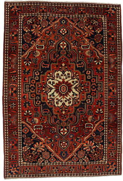 Bakhtiari Persian Rug 312x211
