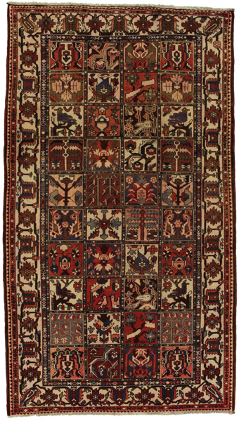 Bakhtiari Persian Rug 294x165