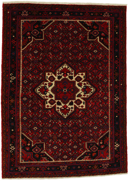 Borchalou - Hamadan Persian Rug 212x156