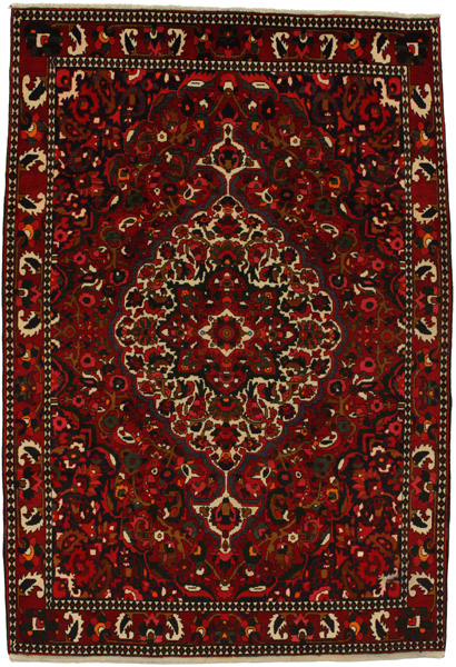 Bakhtiari Persian Rug 310x208