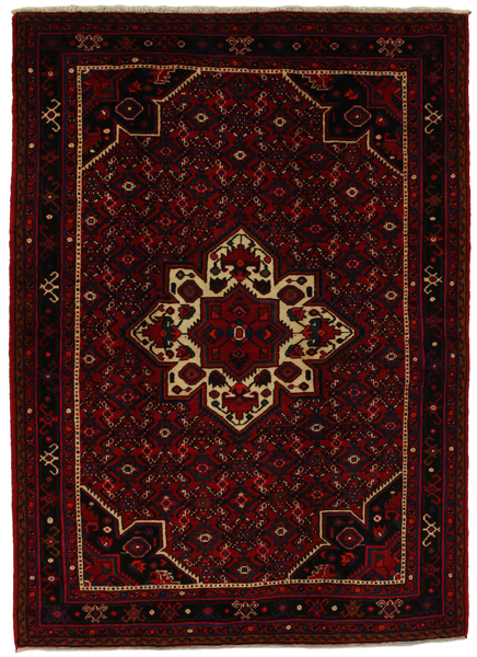 Borchalou - Hamadan Persian Rug 218x157
