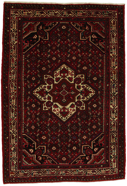 Borchalou - Hamadan Persian Rug 221x153