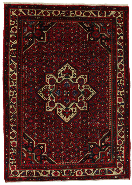 Borchalou - Hamadan Persian Rug 219x157