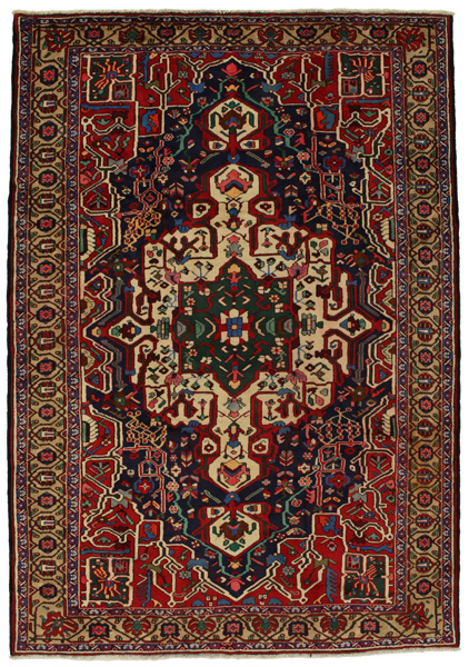 Bakhtiari Persian Rug 308x215