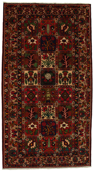 Bakhtiari Persian Rug 304x164