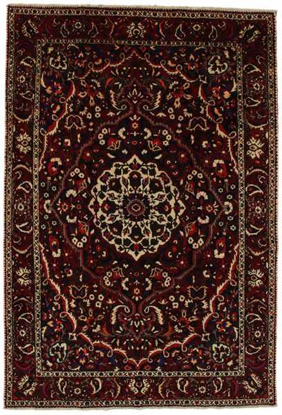 Bakhtiari Persian Rug 308x210
