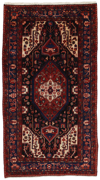 Nahavand - Hamadan Persian Rug 305x169