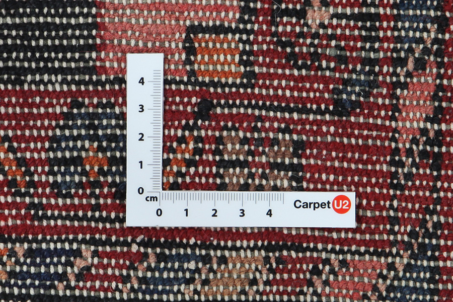 Nahavand - Hamadan Persian Rug 305x169 - Picture 4