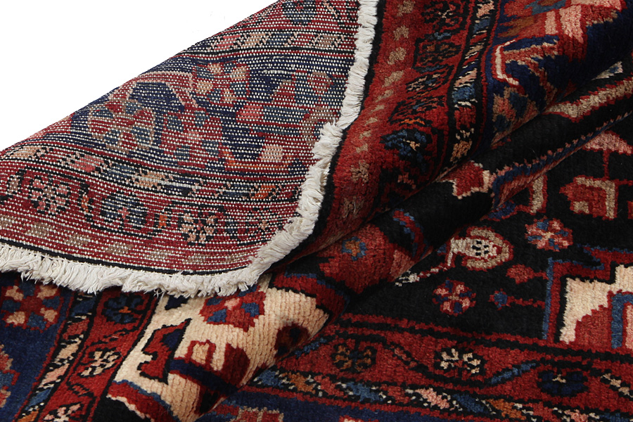 Nahavand - Hamadan Persian Rug 305x169 - Picture 6