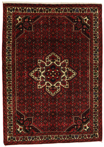 Borchalou - Hamadan Persian Rug 219x156
