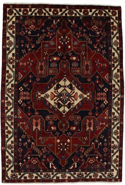 Bakhtiari Persian Rug 303x205