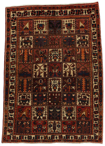 Bakhtiari Persian Rug 230x155