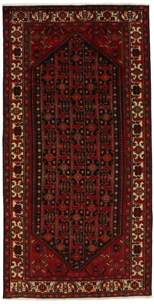 Zanjan - Hamadan Persian Rug 293x148