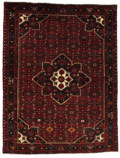 Borchalou - Hamadan Persian Rug 218x166