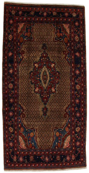 Songhor - Koliai Persian Rug 299x148