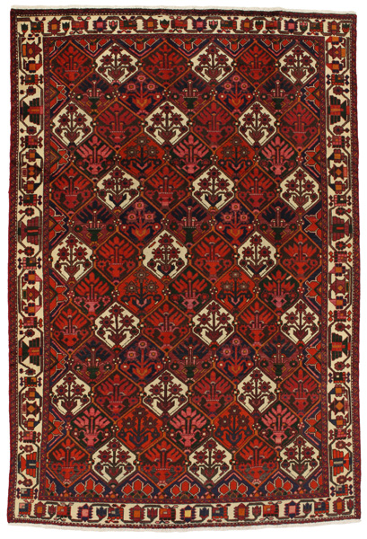 Bakhtiari Persian Rug 299x204