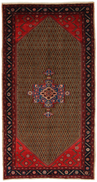 Songhor - Koliai Persian Rug 302x158