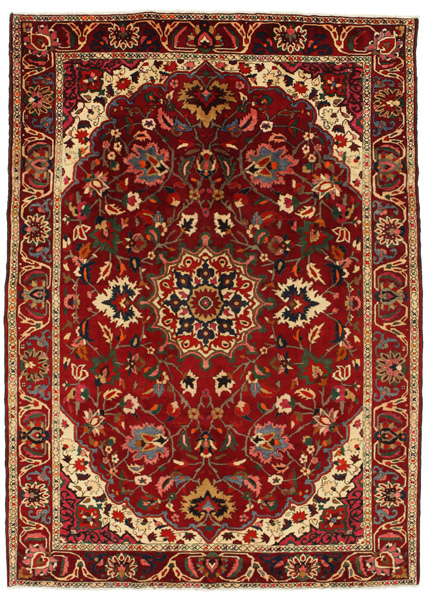 Bakhtiari Persian Rug 310x222