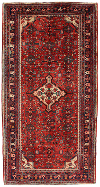Tuyserkan - Hamadan Persian Rug 295x153