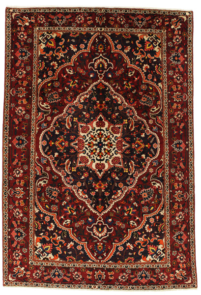 Bakhtiari Persian Rug 313x212