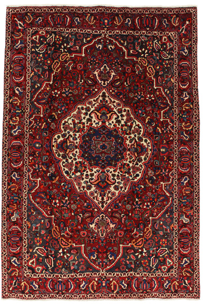 Bakhtiari Persian Rug 297x197