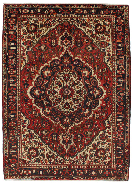 Bakhtiari Persian Rug 307x220
