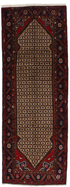 Songhor - Koliai Persian Rug 301x110