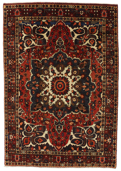Bakhtiari Persian Rug 303x201