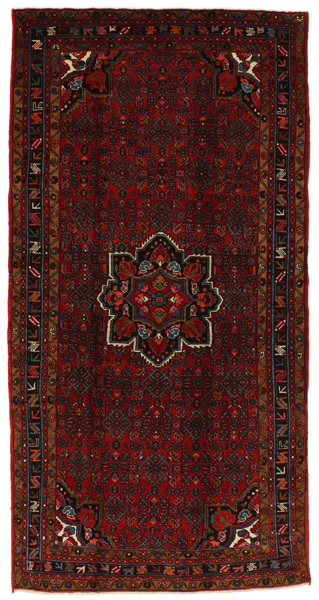 Borchalou - Hamadan Persian Rug 324x165