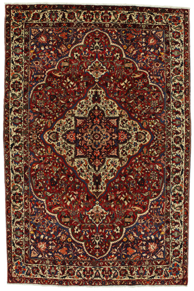 Bakhtiari Persian Rug 314x205