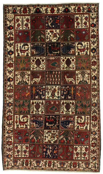 Bakhtiari Persian Rug 284x164