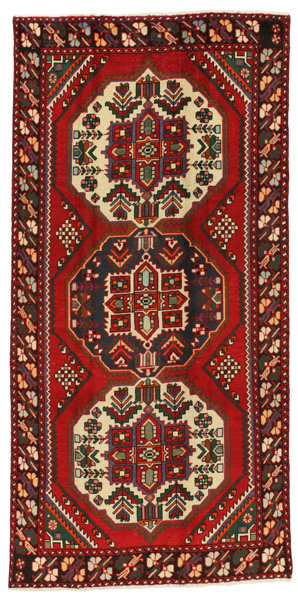 Bakhtiari Persian Rug 300x146