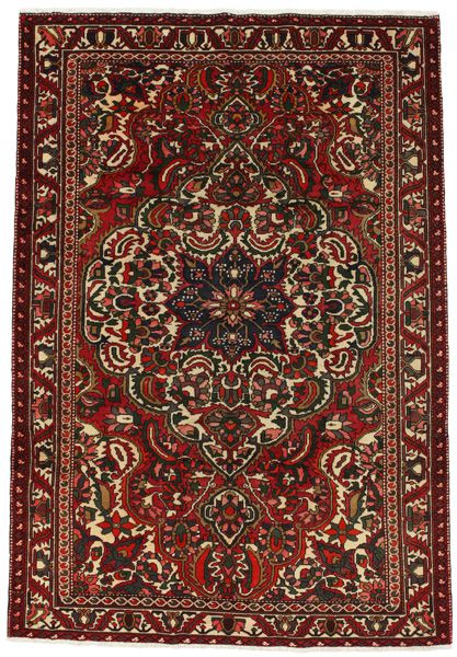 Bakhtiari Persian Rug 292x199