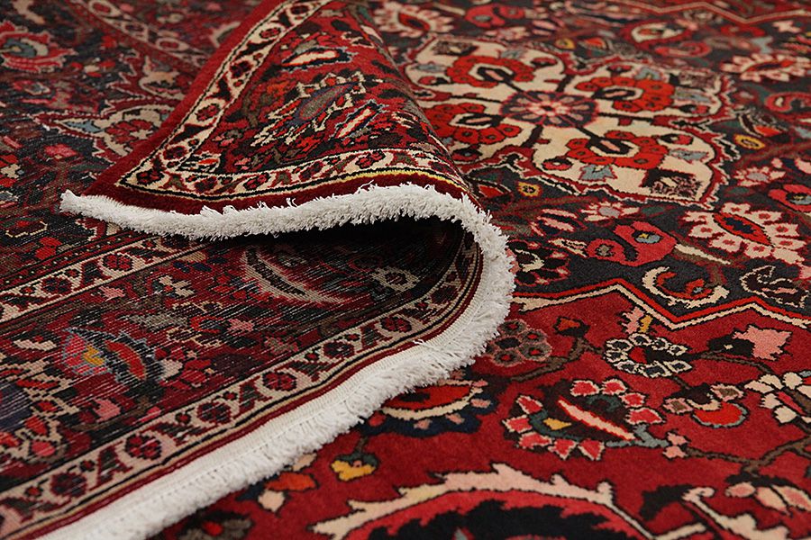 Bakhtiari Persian Rug 312x204 - Picture 4