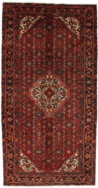 Borchalou - Hamadan Persian Rug 307x158