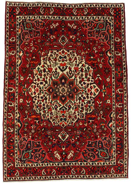Bakhtiari Persian Rug 303x207