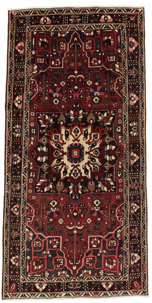 Bakhtiari Persian Rug 303x149