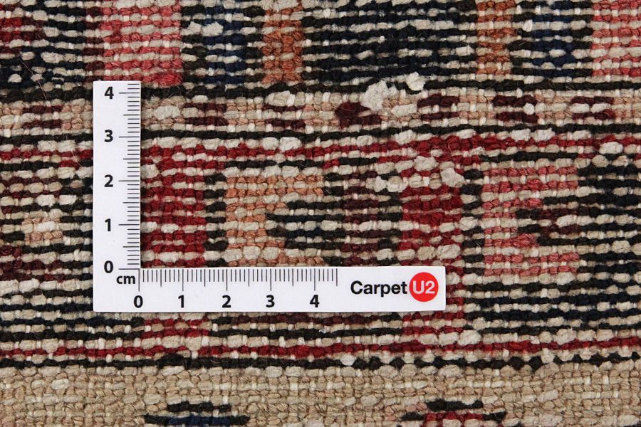 Bakhtiari Persian Rug 308x216 - Picture 3