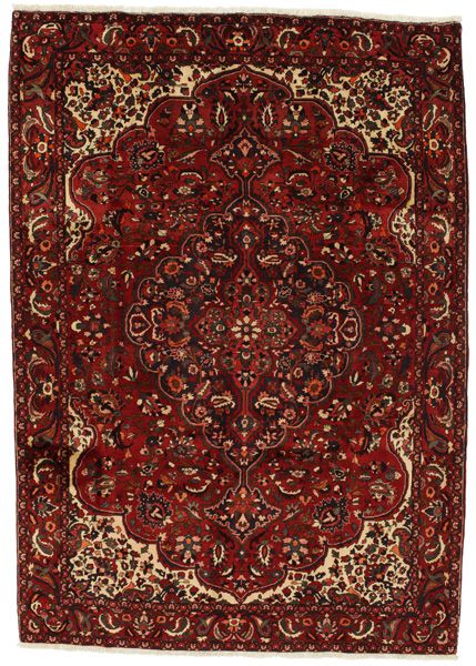 Bakhtiari Persian Rug 306x217
