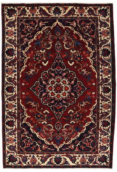 Bakhtiari Persian Rug 310x208